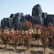 Ų